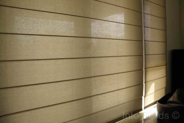 Translucent Roman Blinds allowing light to enter the room with partial visibility outside